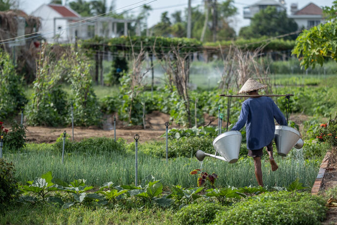 Kräuterdorf Tra Que in Hoi An