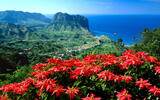 Panorama von Madeira