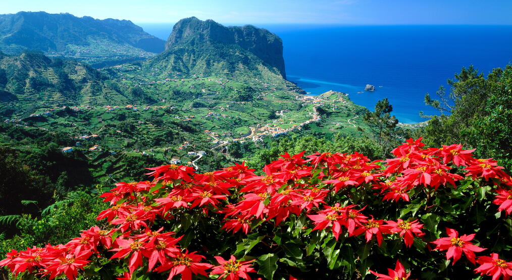 Panorama von Madeira