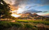 Stellenbosch Weinanbau