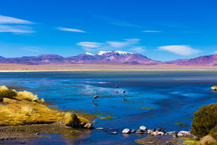 Salar de Atacama