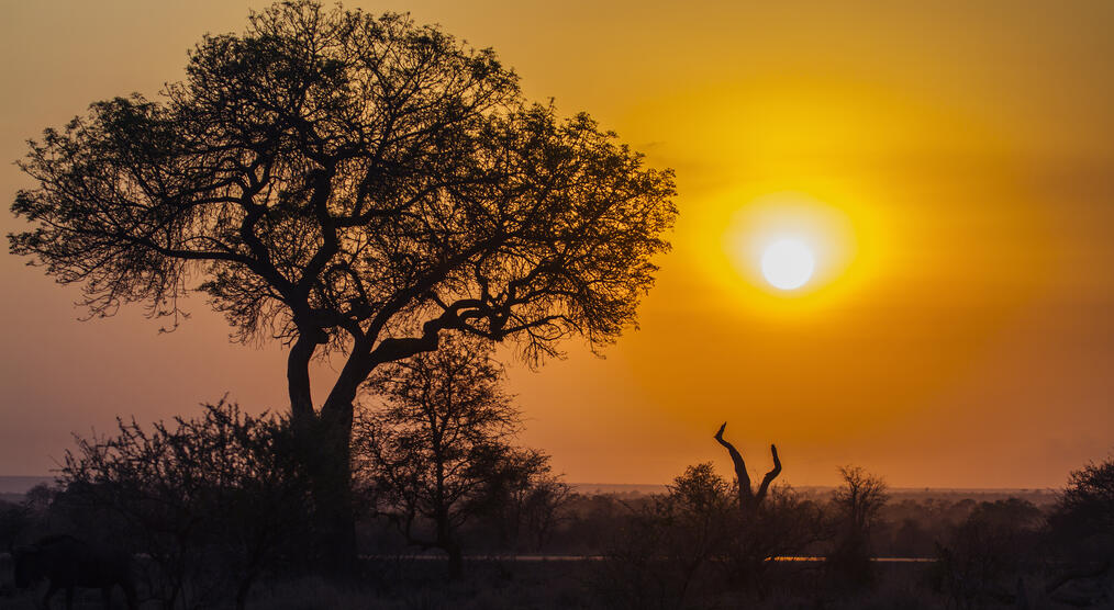 Sonnenaufgang