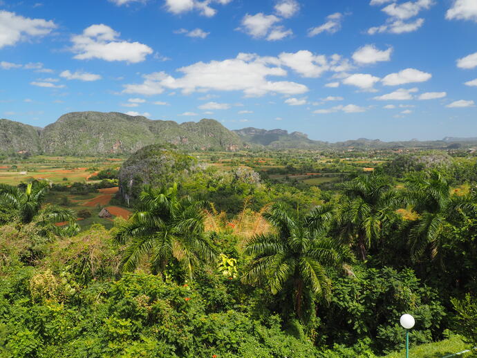 Vinales 