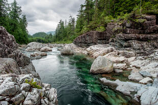 Fluss auf Vancouver Island 