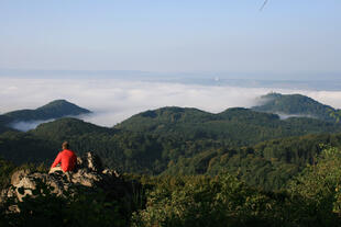 Wanderausflug im Siebengebirge