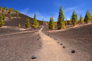 Wanderweg im Teide Nationalpark