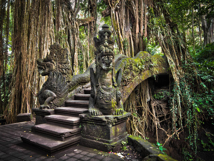 Affenwald in Ubud