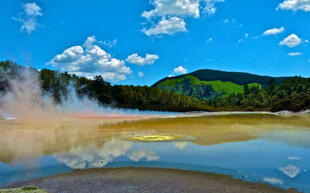 Blick über Landschaft in Rotorua 