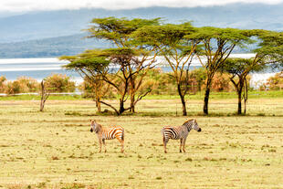 Lake Naivasha