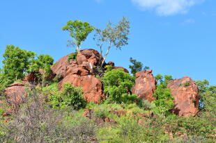 Waterberg