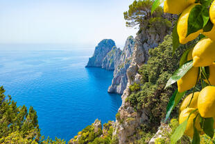 Blick von der Insel Capri