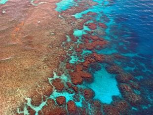 Great Barrier Reef