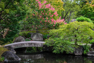 Japanischer Garten bei der Burg