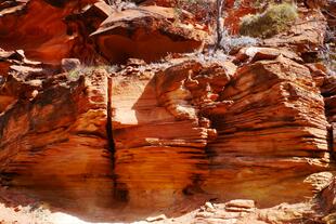 Kings Canyon 