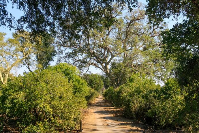 Mapungubwe Nationalpark