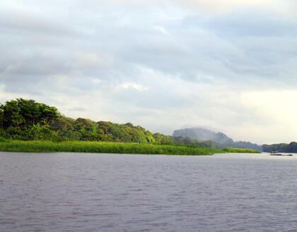 Tortuguero