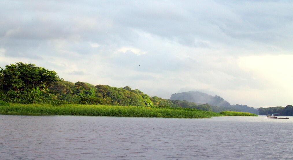 Tortuguero