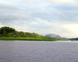 Tortuguero