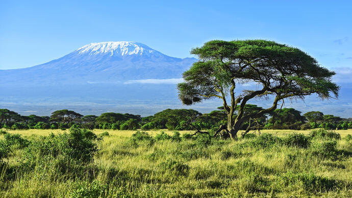 Amboseli-Nationalpark 