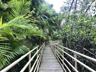 Manuel Antonio Nationalpark