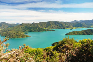 Marlborough Sounds