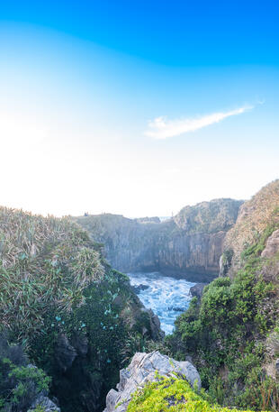 Paparoa Nationalpark 