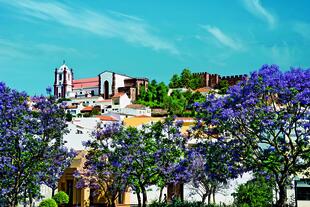 Silves