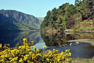 Landschaft in den Wicklow Mountains