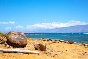 Shipwreck Strand