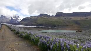 Skaftafell-Nationalpark