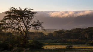 Ngorongoro-Krater