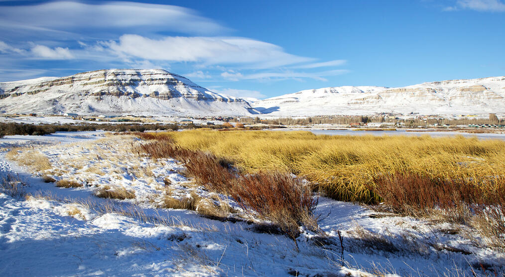 Laguna Nimez