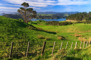 Landschaft Coromandel 