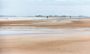 Landschaft im Nationalpark Marino Ballena