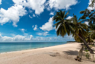 Paradiesischer Strand in Mosambik