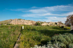 Tiryns