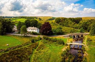 Ein Blick auf die Postbridge Clapper Bridge im Dartmoor-Nationalpark. Die historische Steinbrücke überspannt einen klaren Bach und ist von grünen Wiesen und dichter Vegetation umgeben.