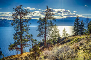 Lake Peachland