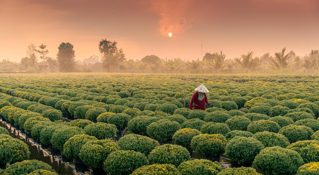 Mekong Delta in Vietnam