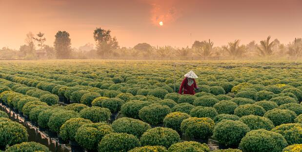 Mekong Delta in Vietnam