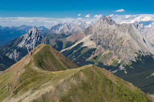 Rockies