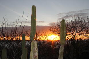 Sonnenuntergang auf den Galapagosinseln