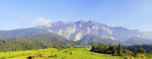 Kinabalu Nationalpark 