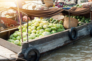 Mekong