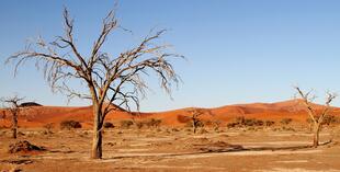 Sossusvlei