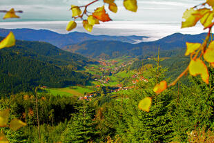 Herbst in Seebach