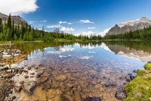 Sheffer Lake 