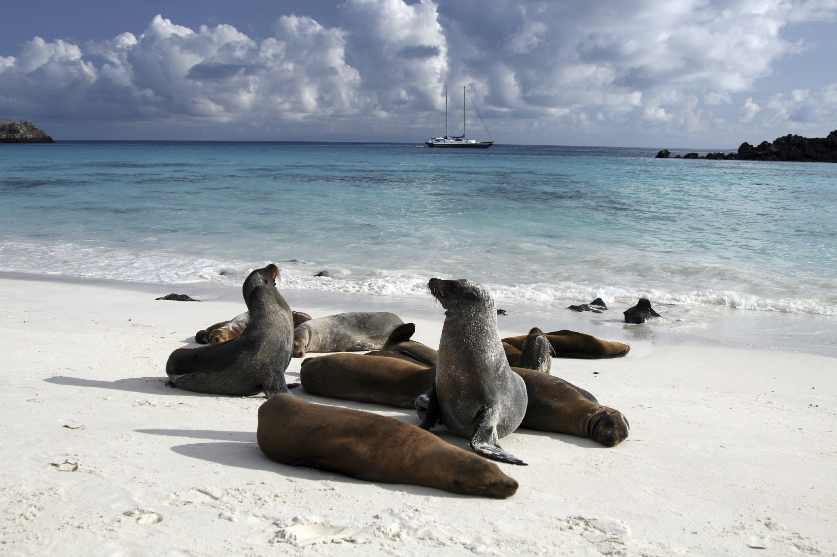 Ecuador Und Galapagos Rundreise Hohepunkte